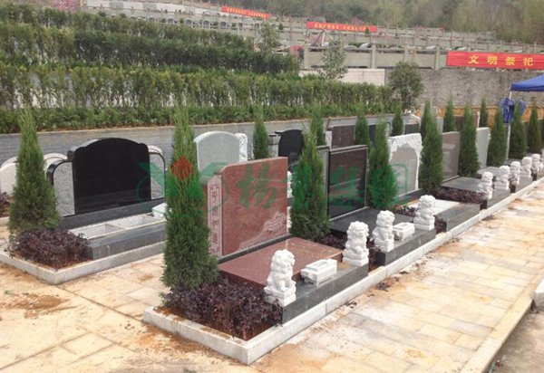 itb8888通博(中国区)官方网站