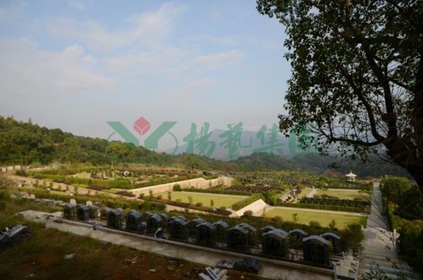 itb8888通博(中国区)官方网站