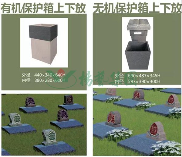 itb8888通博(中国区)官方网站