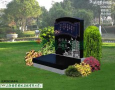 SY200505-鹤影长江 忖量无绝