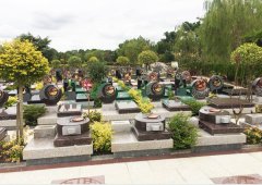 上；懔靶腔鹎