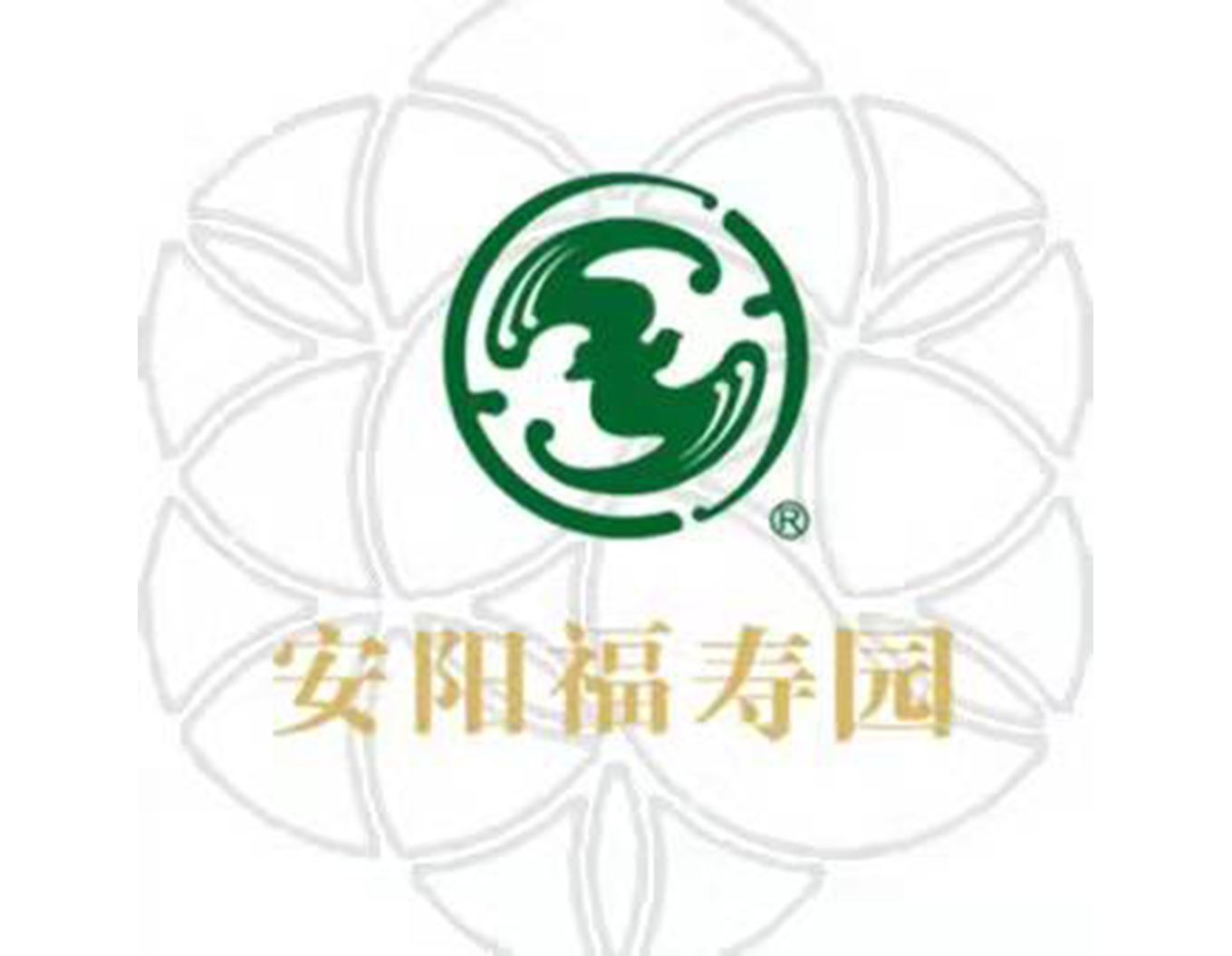 itb8888通博(中国区)官方网站