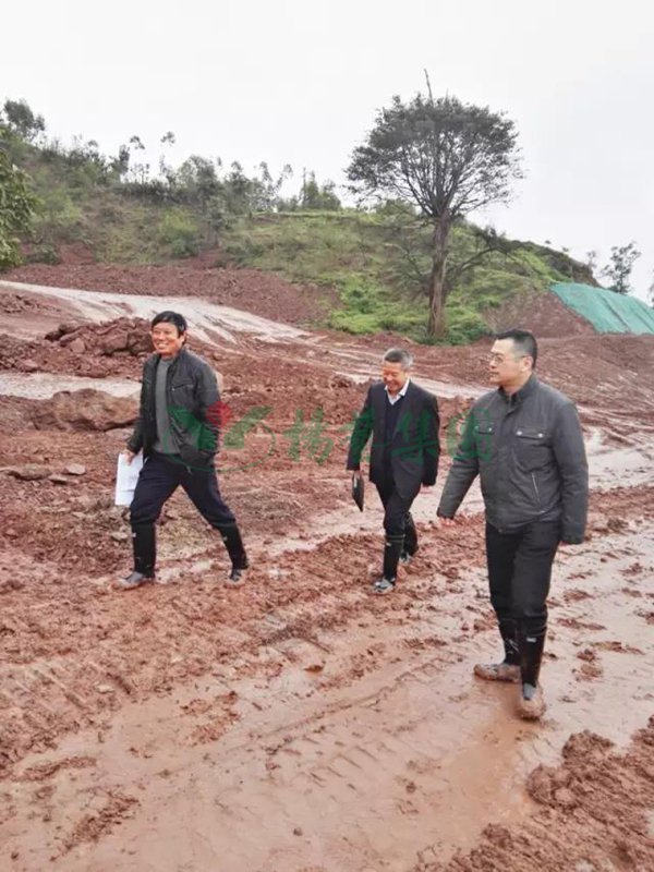 itb8888通博(中国区)官方网站