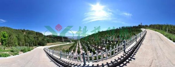 itb8888通博(中国区)官方网站