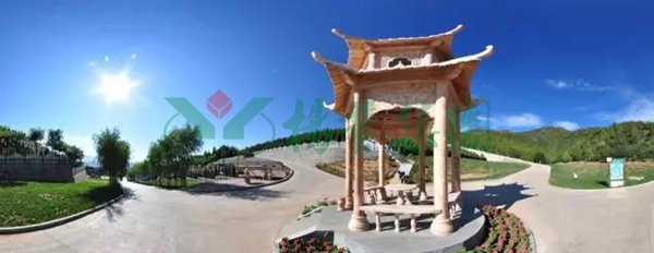 itb8888通博(中国区)官方网站