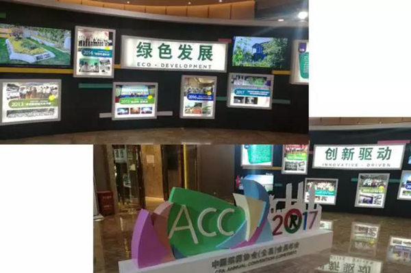 itb8888通博(中国区)官方网站