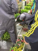 【itb8888通博人别样清明】2018年清明落葬事情圆满完成