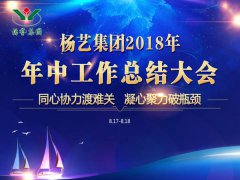 itb8888通博集团2018年中总结报告（摘要）