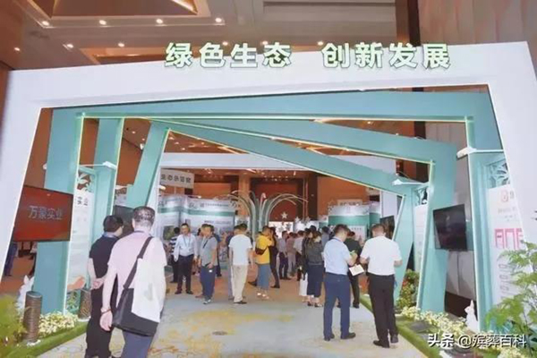 itb8888通博(中国区)官方网站