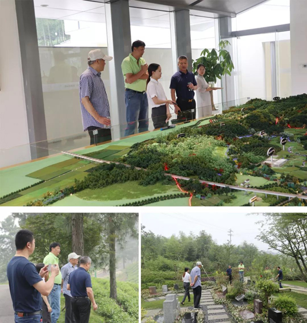 itb8888通博(中国区)官方网站