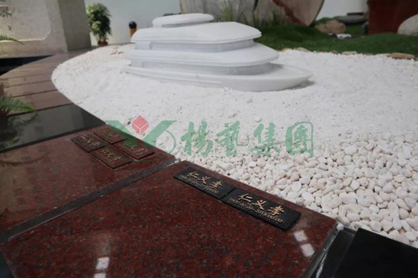 itb8888通博(中国区)官方网站