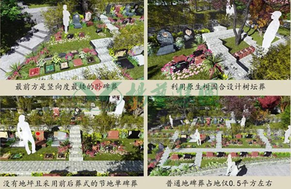 itb8888通博(中国区)官方网站
