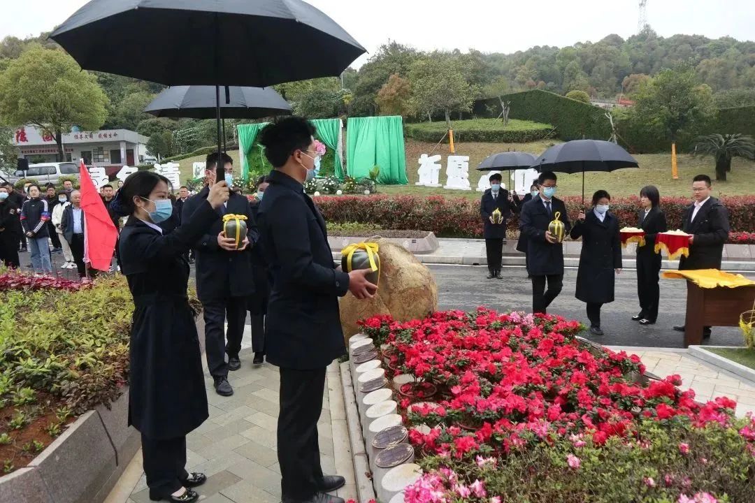 itb8888通博(中国区)官方网站