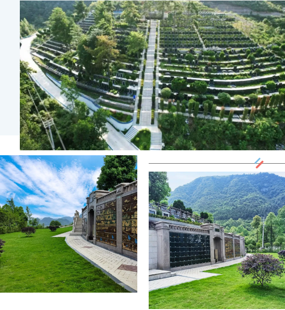 itb8888通博(中国区)官方网站