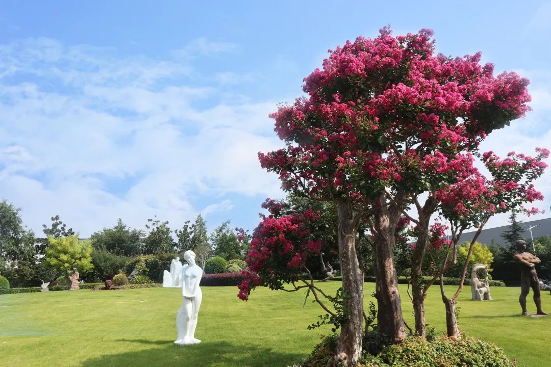 itb8888通博(中国区)官方网站