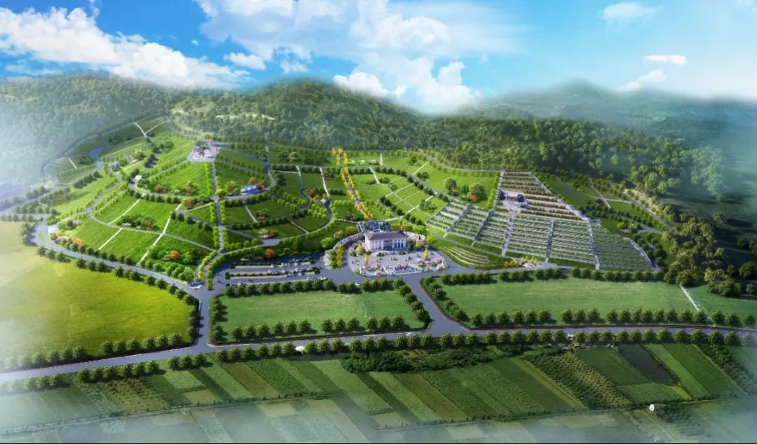 itb8888通博(中国区)官方网站