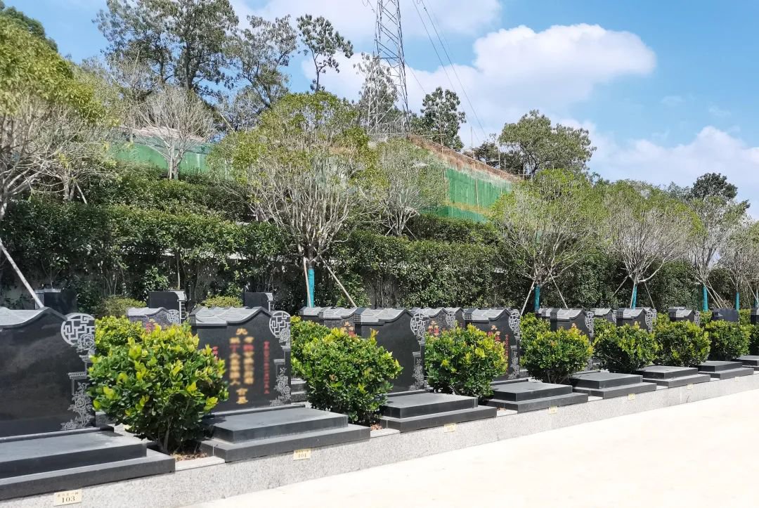 itb8888通博(中国区)官方网站