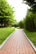 itb8888通博道板砖为您打造清静宜人的步行情形
