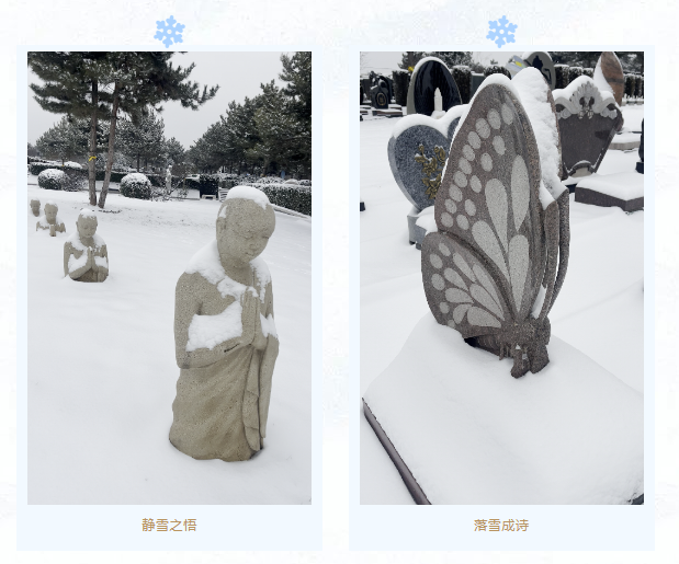 itb8888通博(中国区)官方网站
