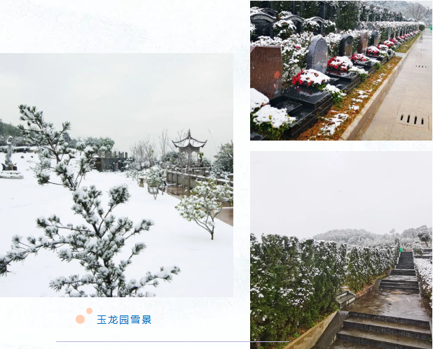 itb8888通博(中国区)官方网站