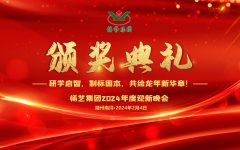 2024年itb8888通博集团迎新春年会暨颁奖仪式盛放纵行