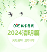 风起清明 遥寄相思|itb8888通博集团?2024清明篇
