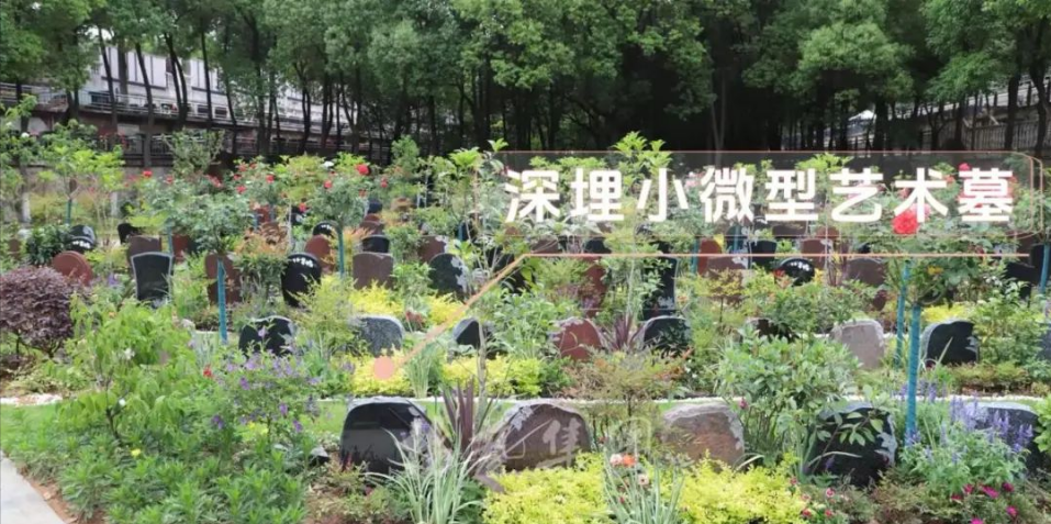 itb8888通博(中国区)官方网站