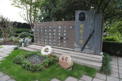 致敬“平安卫士”，铭刻“刑警之魂”