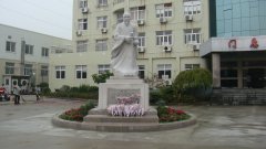 石雕匠心，镌刻医者风华