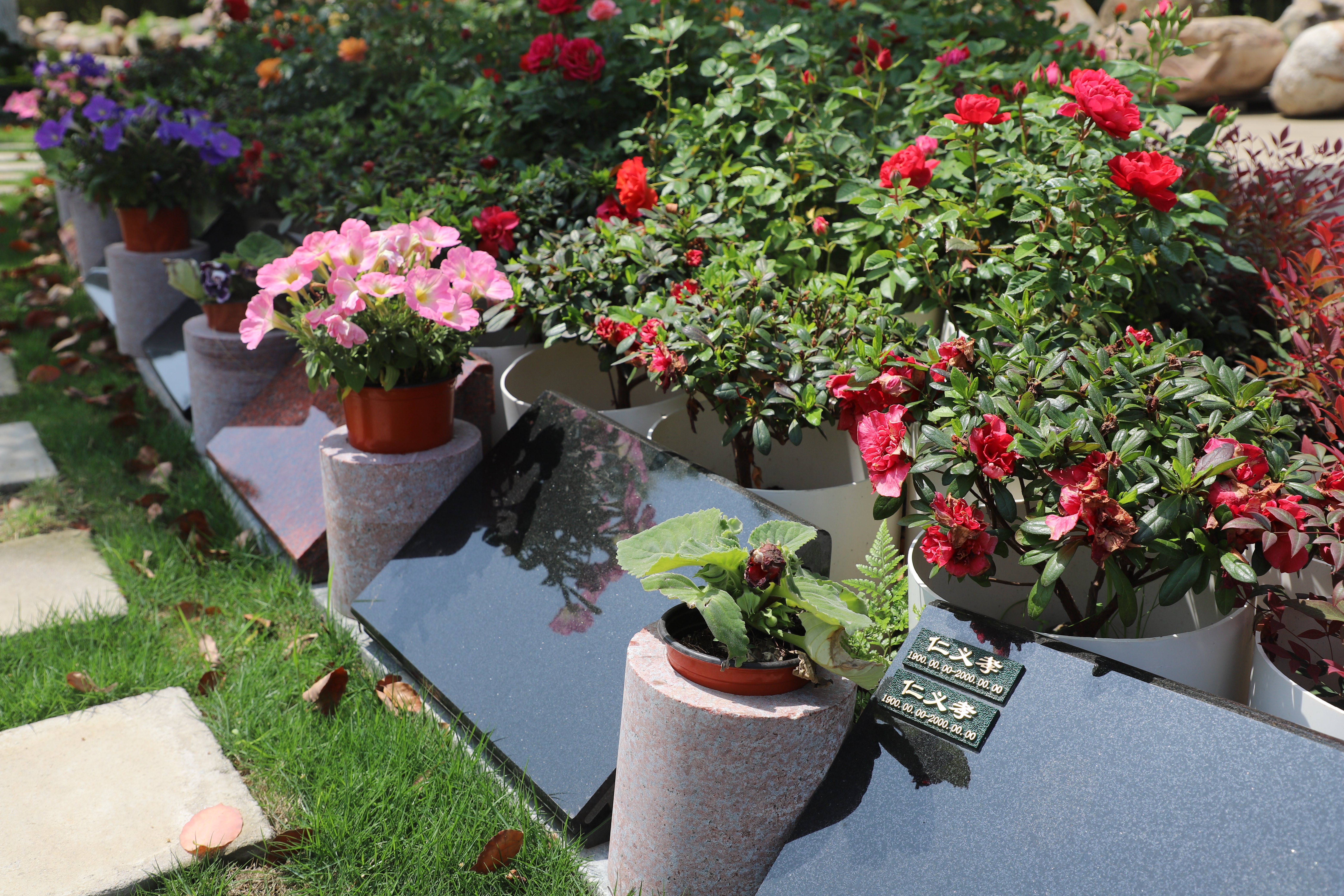 itb8888通博(中国区)官方网站