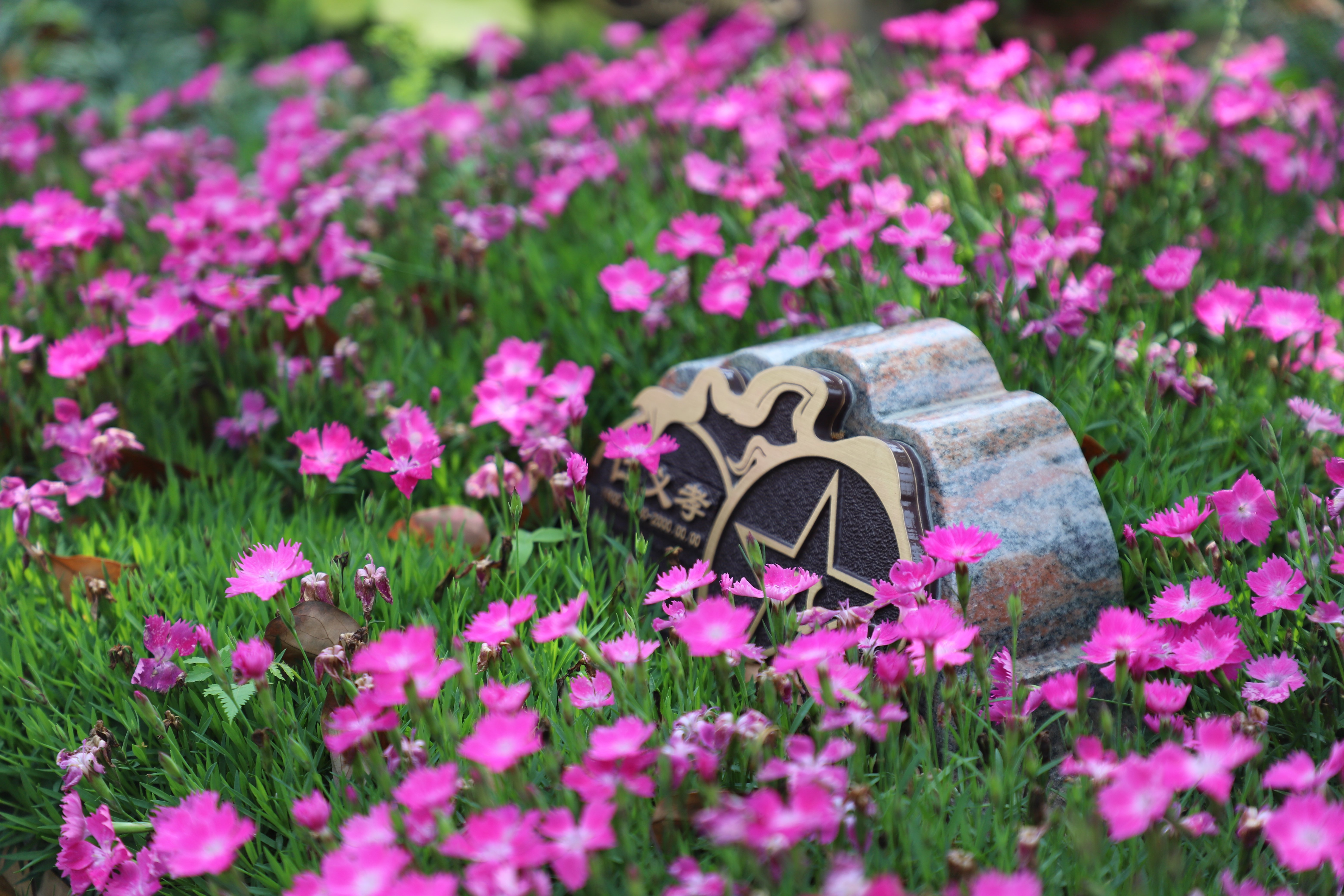 itb8888通博(中国区)官方网站