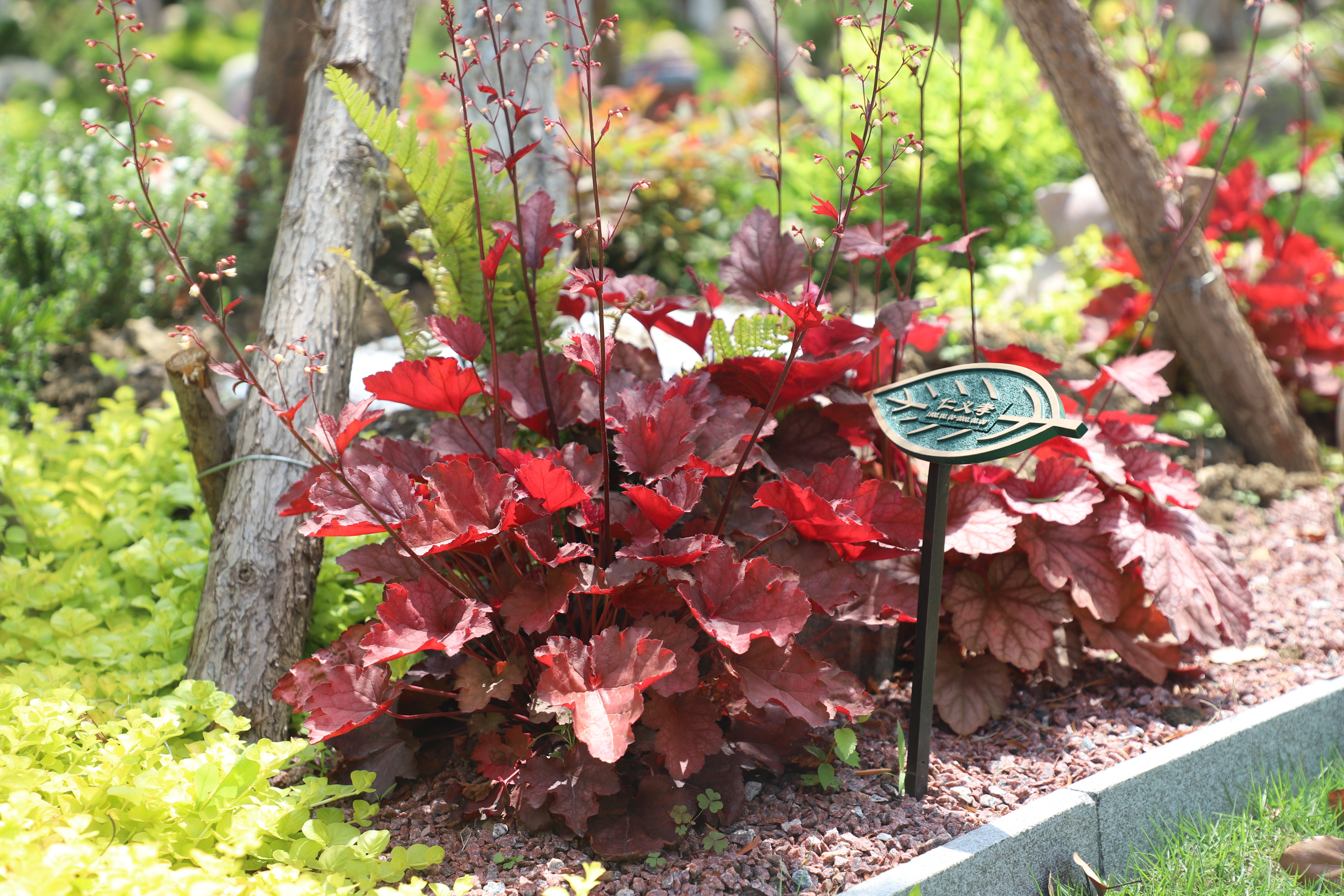 itb8888通博(中国区)官方网站