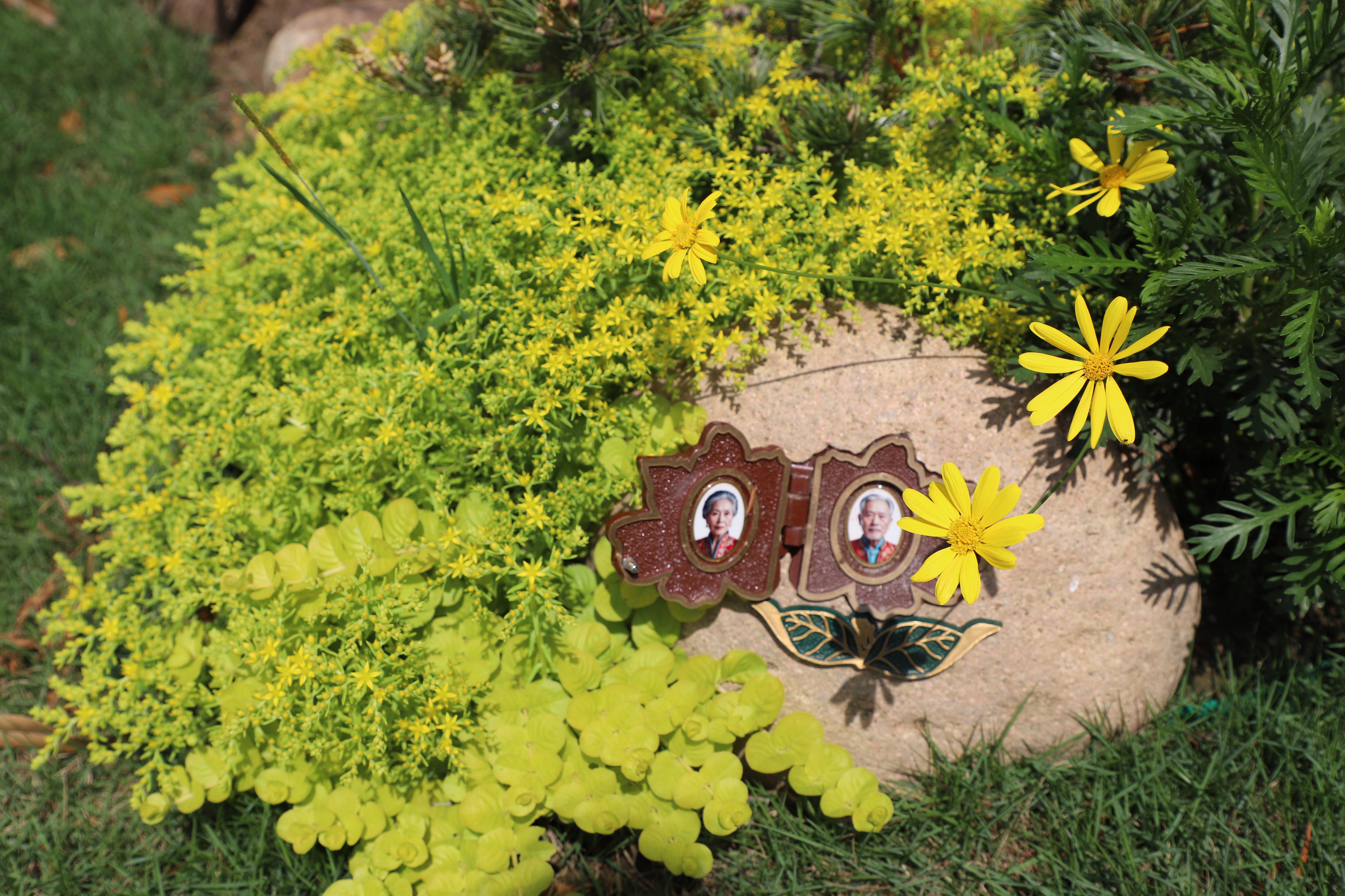 itb8888通博(中国区)官方网站