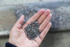 石语新章：仿真；は渲械纳羰韭