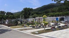 生态葬，让生命在绿意中永恒