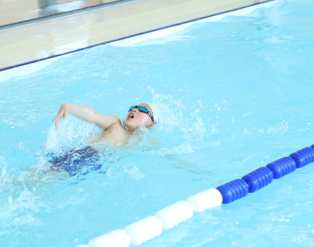 itb8888通博(中国区)官方网站