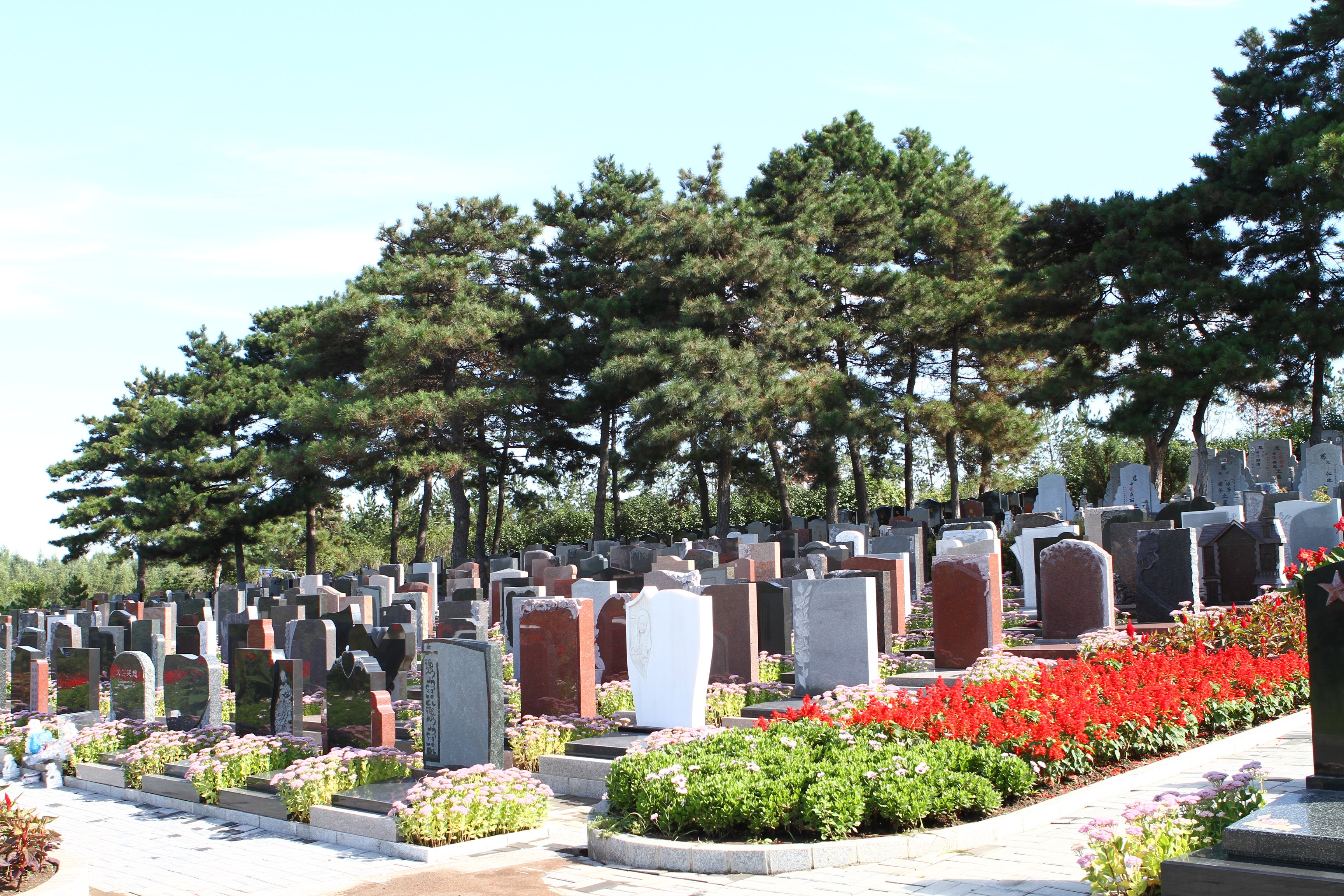 itb8888通博(中国区)官方网站