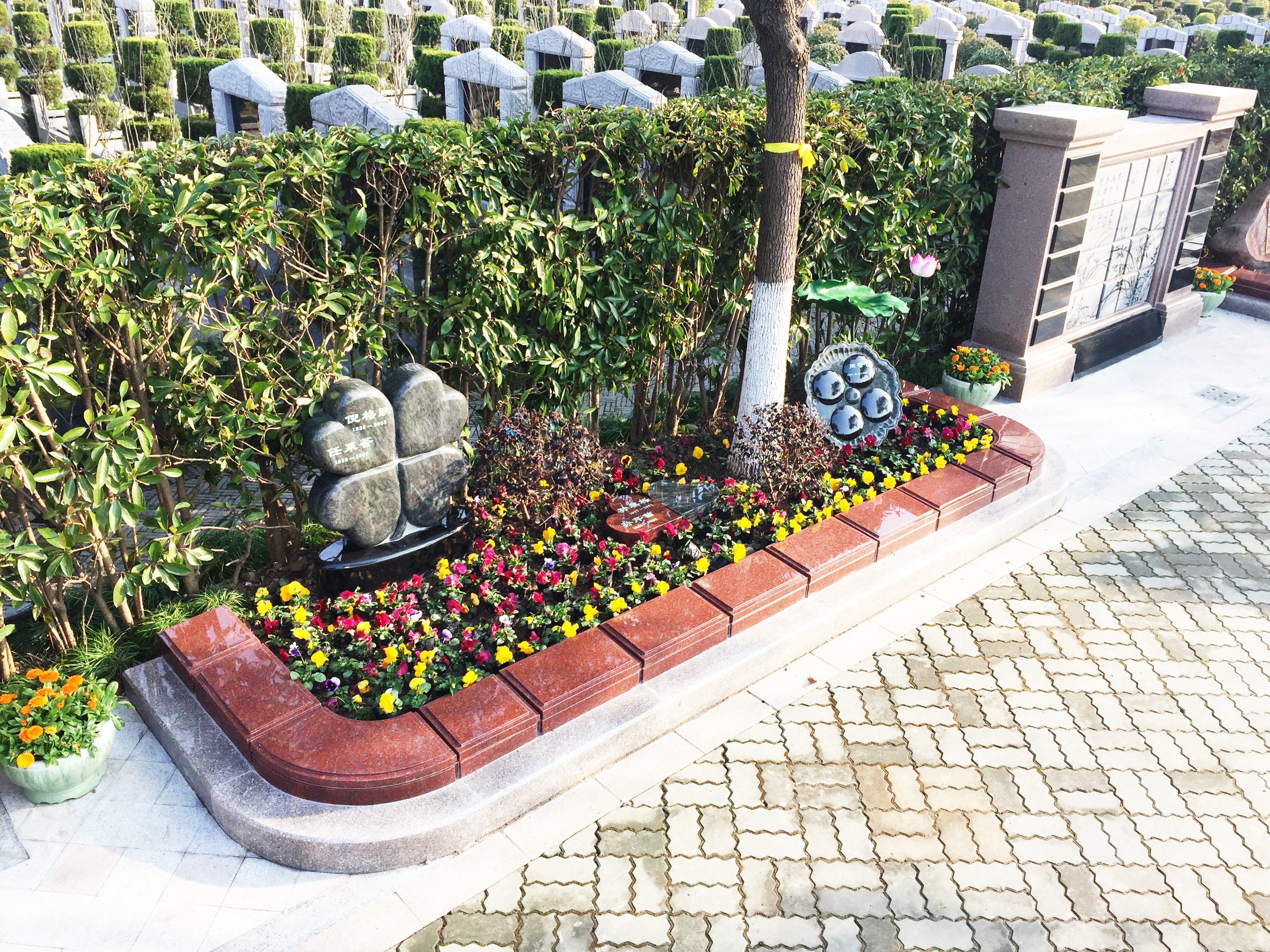 itb8888通博(中国区)官方网站