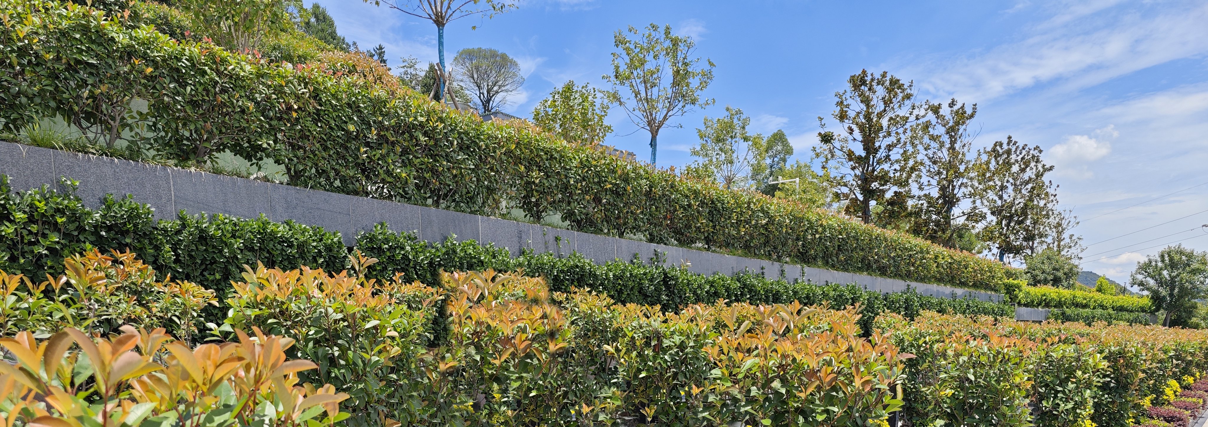 itb8888通博(中国区)官方网站