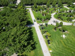 碑雕设计：镌刻历史，传承人文