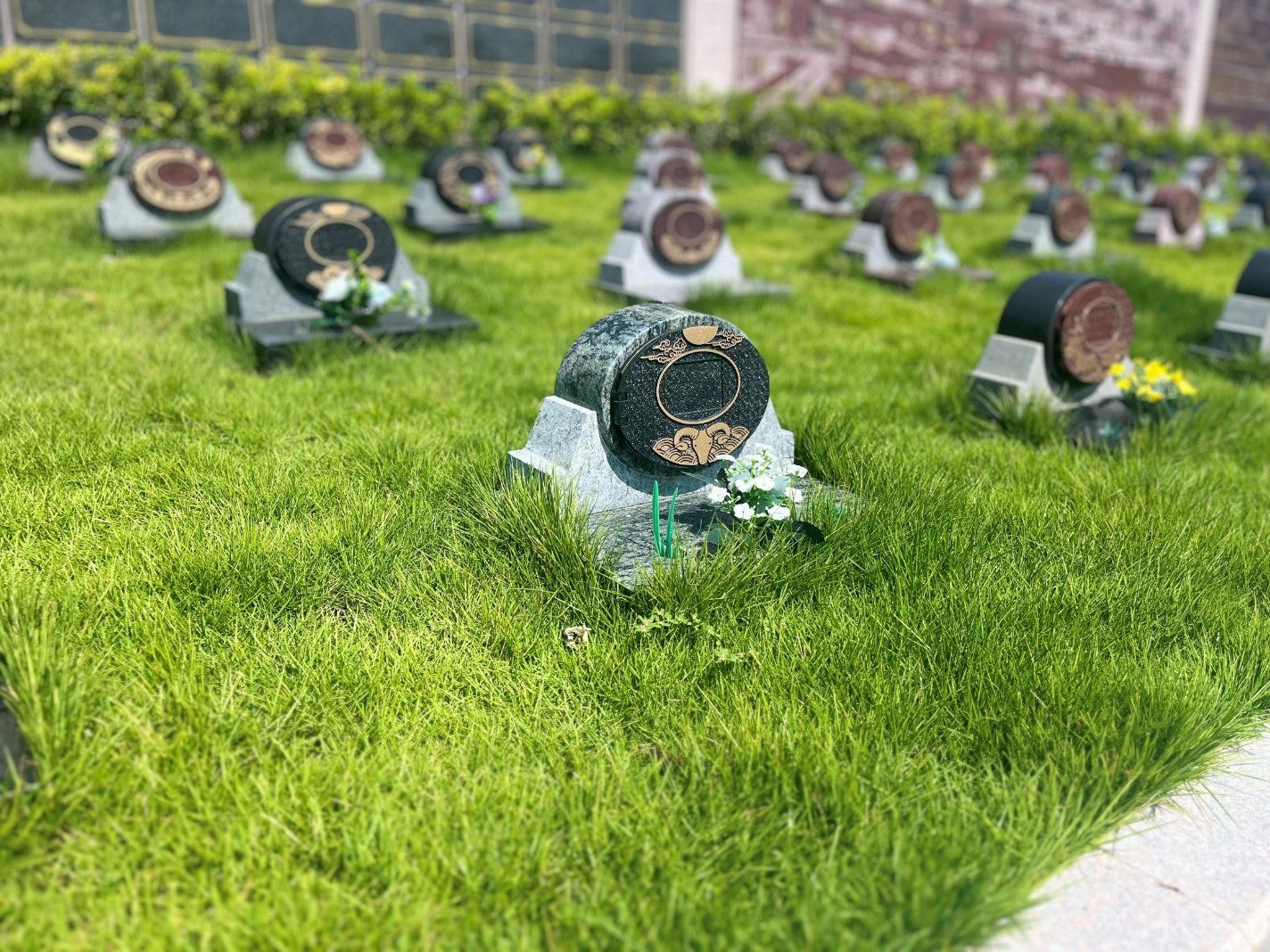 itb8888通博(中国区)官方网站