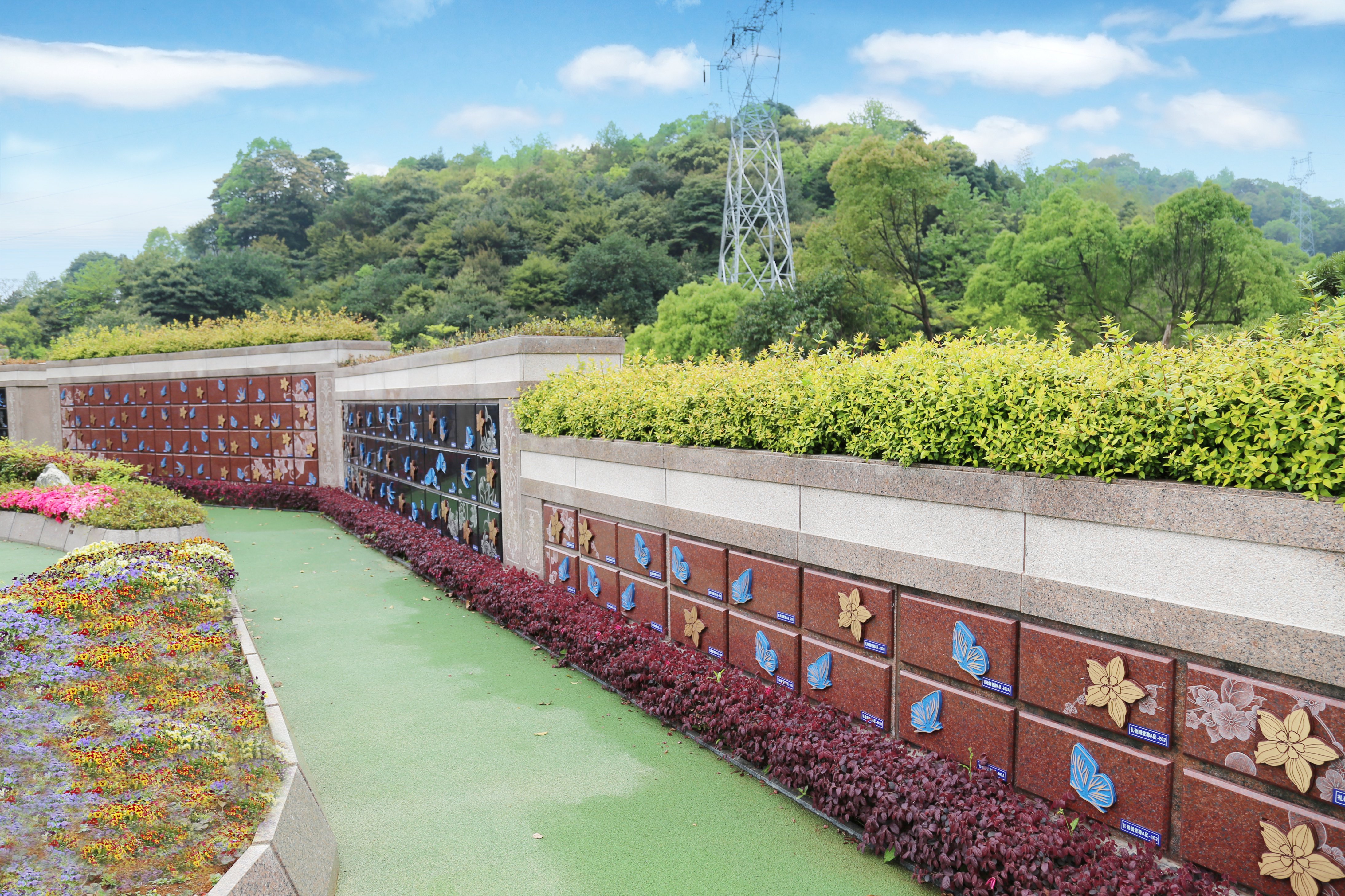 itb8888通博(中国区)官方网站