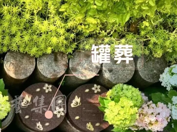 itb8888通博(中国区)官方网站